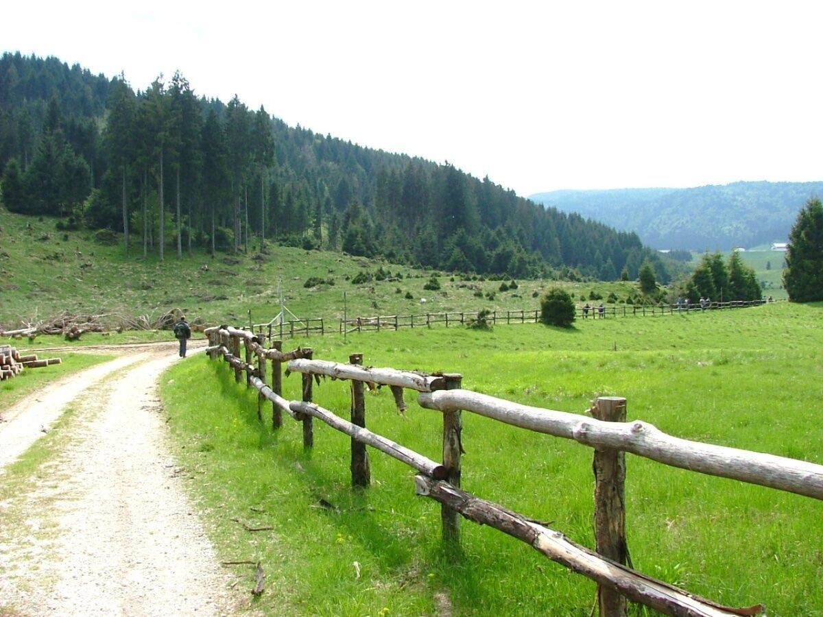 Cansiglio inedito: Pian dell’Erba, Piana di Cadolten con tappa in Malga desktop picture