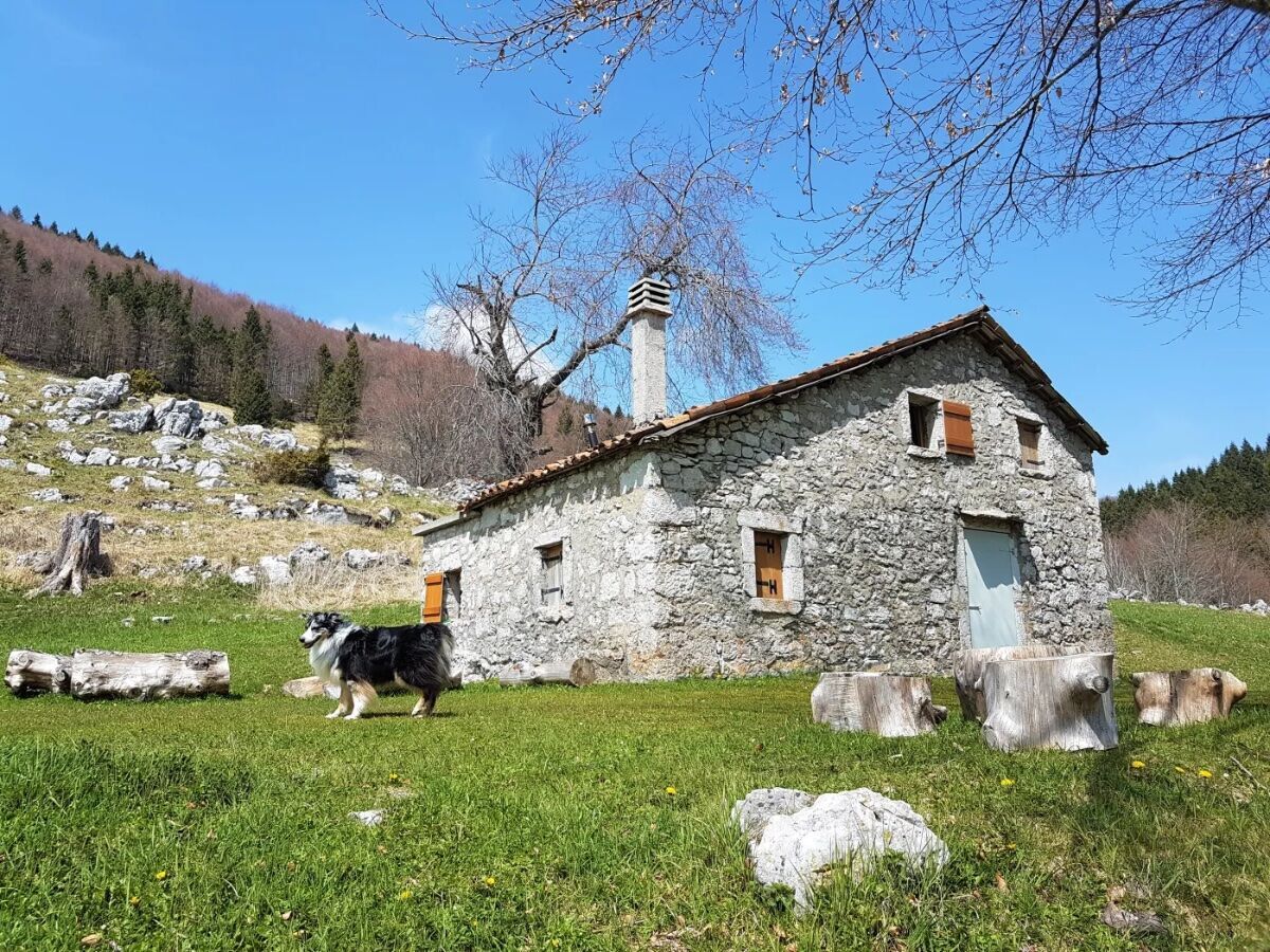 Cansiglio inedito: Pian dell’Erba, Piana di Cadolten con tappa in Malga desktop picture