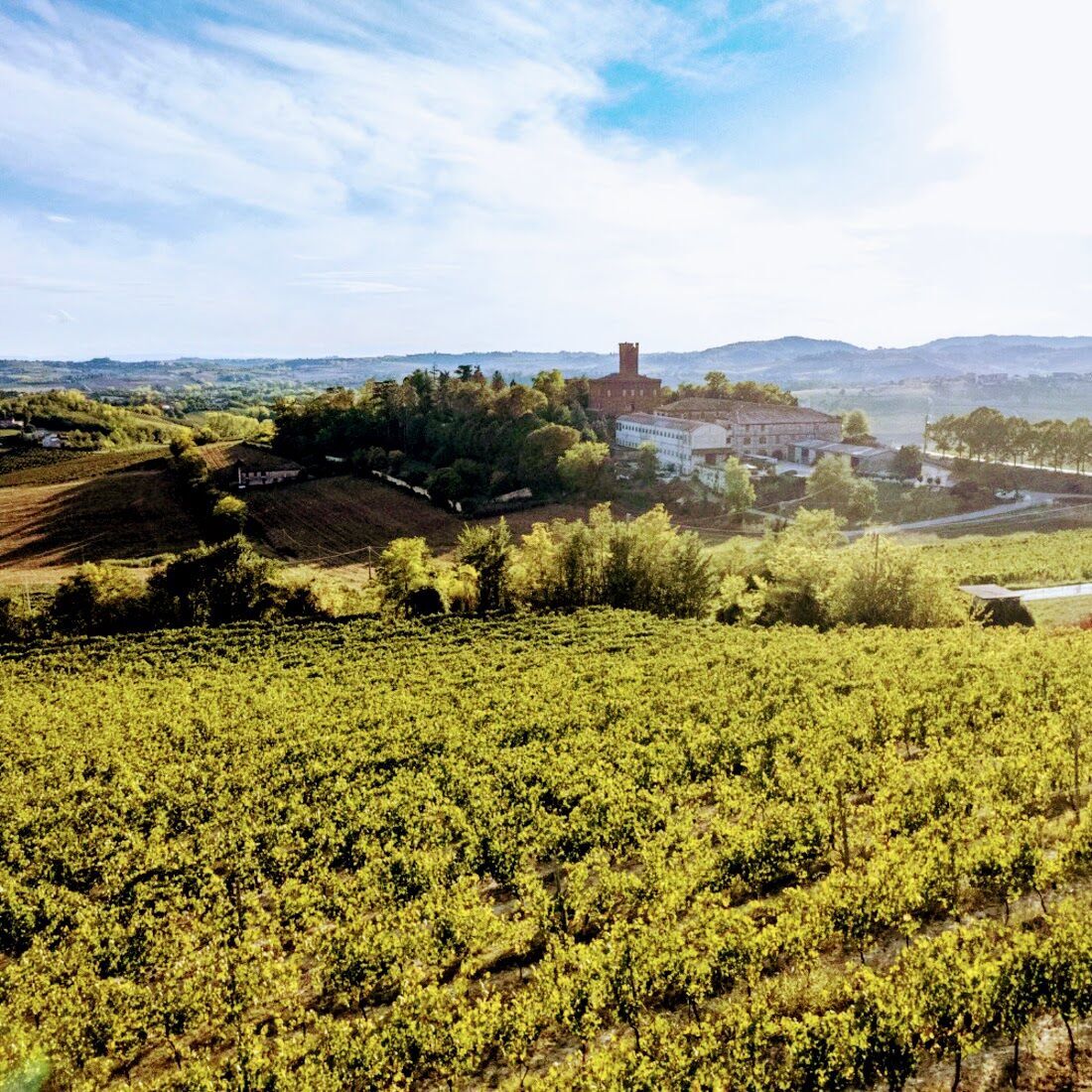 Conosciamo in Monferrato: le Cantine Castello di Uviglie tra arte, vini e cammini desktop picture