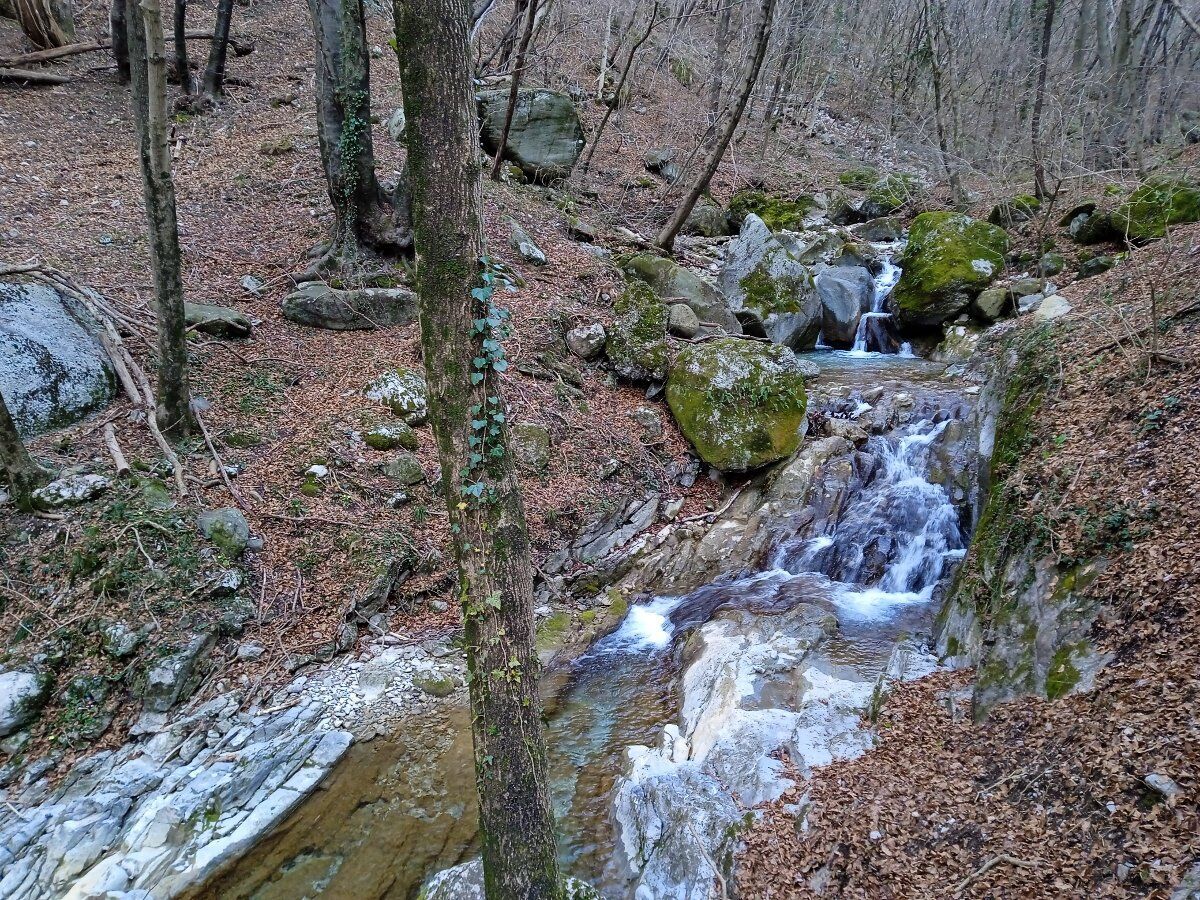 Trekking in Val Ravella tra i massi erratici e gli spiriti del bosco desktop picture