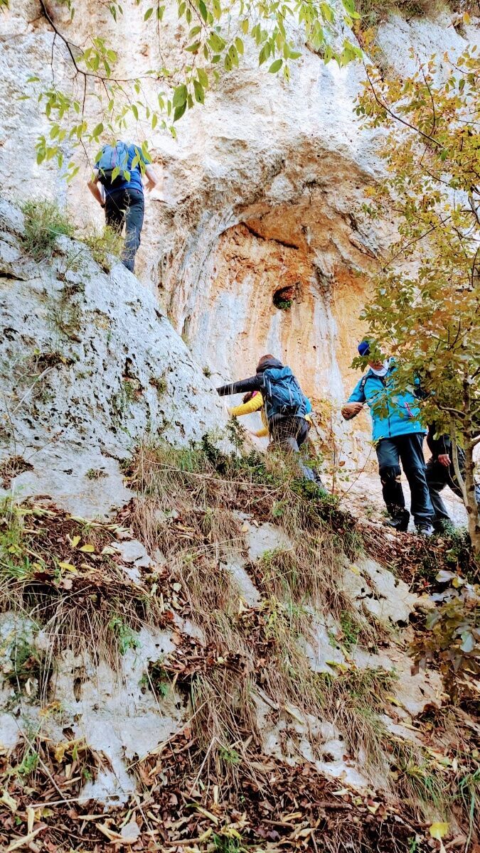 Alla scoperta di covoli, grotte ed erbe spontanee sopra Castegnero Alla scoperta di covoli, grotte ed erbe spontanee sopra Castegnero desktop picture