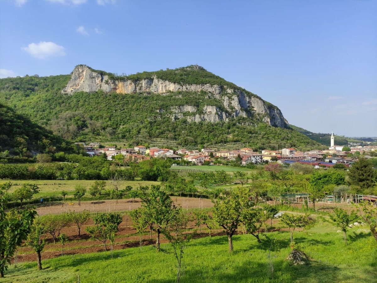 Alla scoperta di covoli, grotte ed erbe spontanee sopra Castegnero Alla scoperta di covoli, grotte ed erbe spontanee sopra Castegnero desktop picture