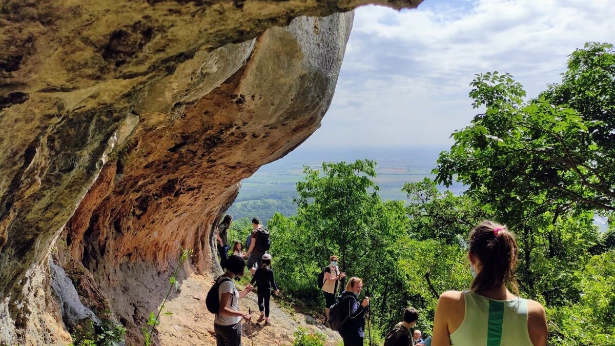 Alla scoperta di covoli, grotte ed erbe spontanee sopra Castegnero Alla scoperta di covoli, grotte ed erbe spontanee sopra Castegnero desktop picture