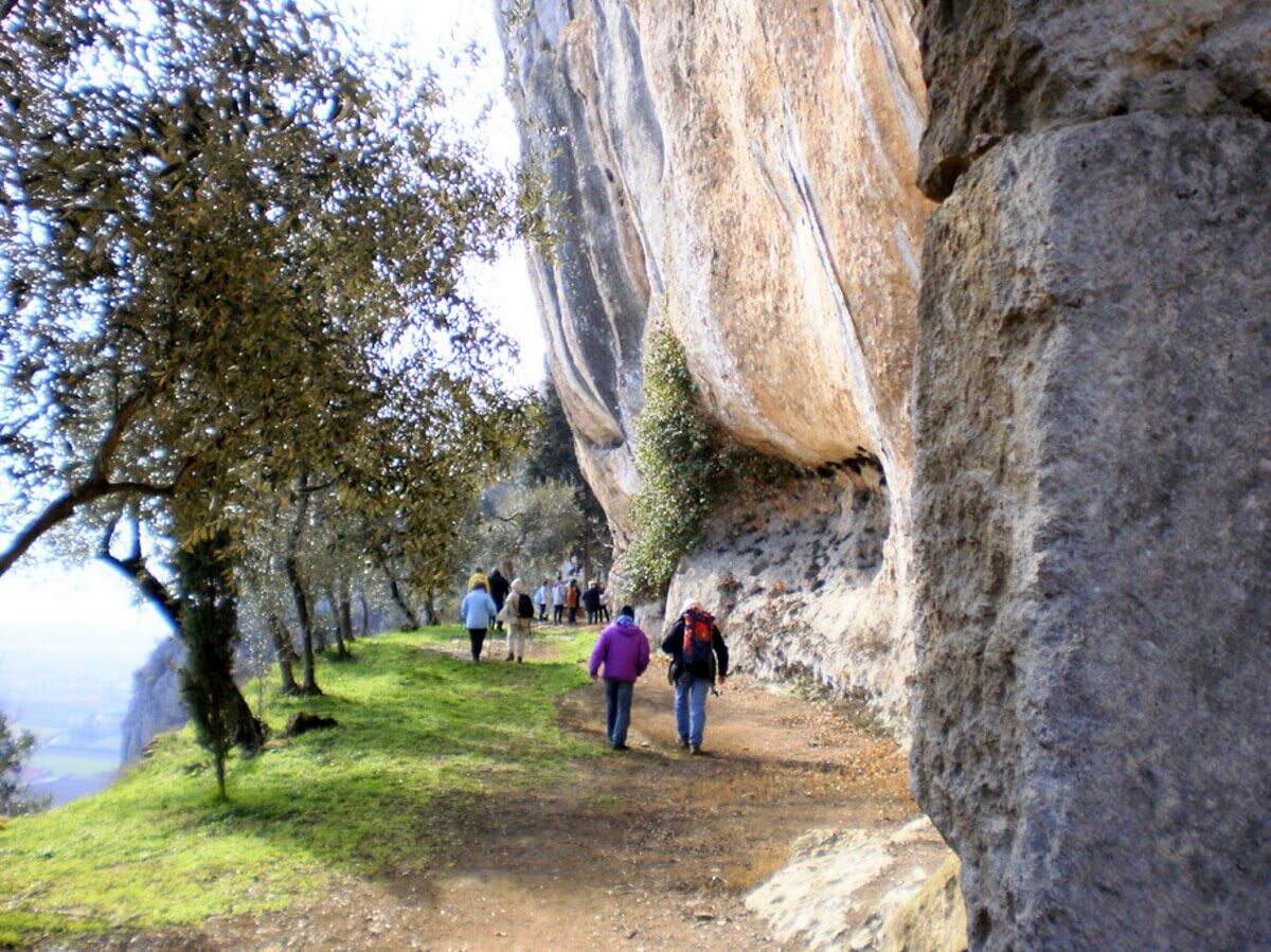 Alla scoperta di covoli, grotte ed erbe spontanee sopra Castegnero Alla scoperta di covoli, grotte ed erbe spontanee sopra Castegnero desktop picture