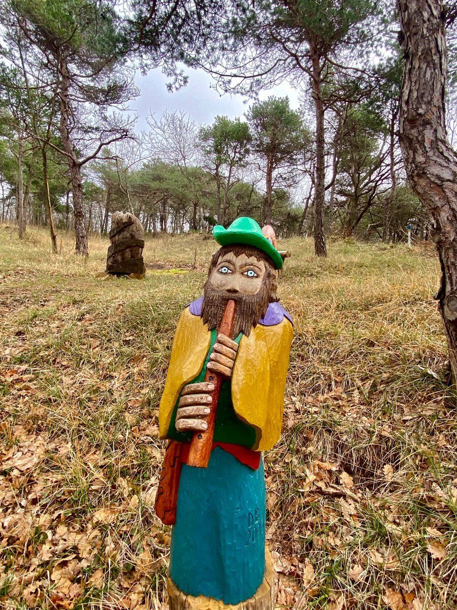 Trekking nel Bosco delle Favole con cena in capanno Trekking nel Bosco delle Favole con cena in capanno desktop picture