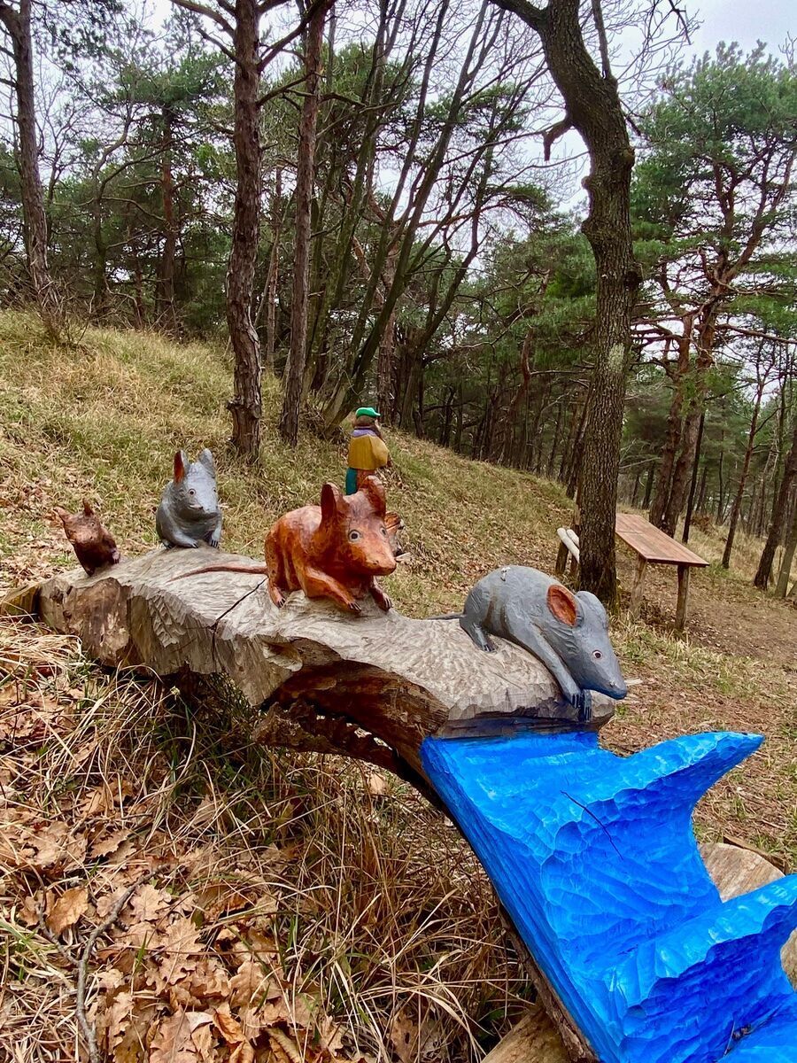Trekking nel Bosco delle Favole con cena in capanno Trekking nel Bosco delle Favole con cena in capanno desktop picture