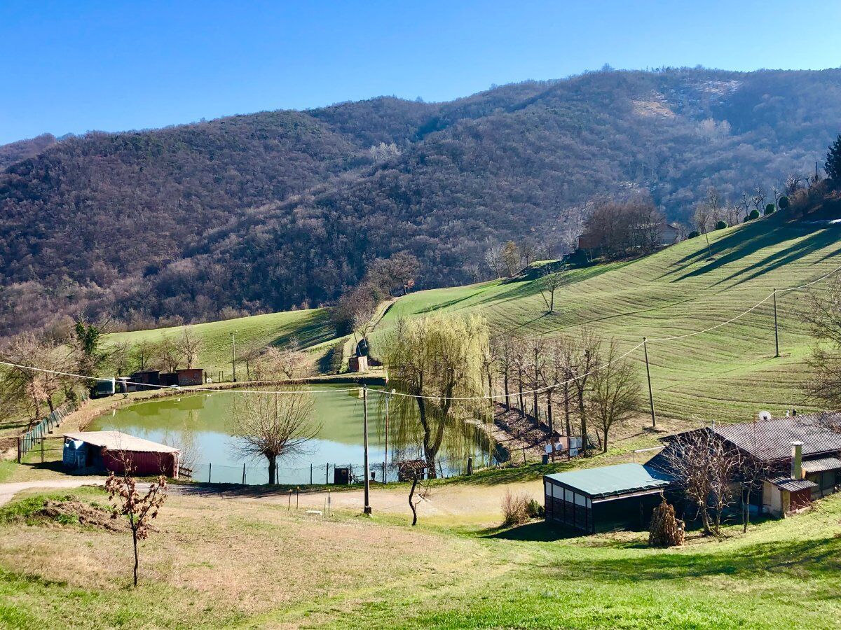Trekking nel Bosco delle Favole con cena in capanno Trekking nel Bosco delle Favole con cena in capanno desktop picture