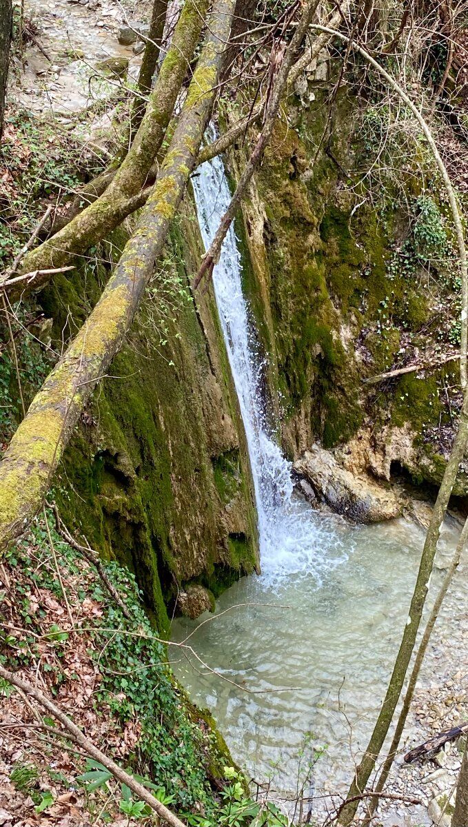 Trekking nel Bosco delle Favole con cena in capanno Trekking nel Bosco delle Favole con cena in capanno desktop picture