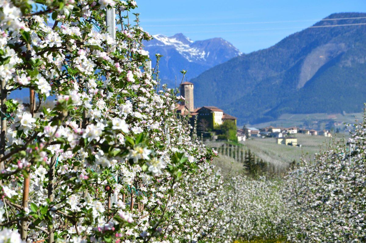 Fine settimana in Val di Non con visita al Parco Fluviale Novella desktop picture
