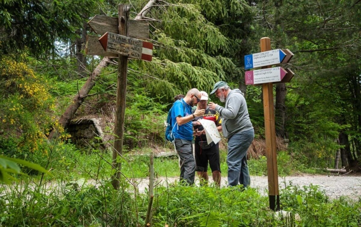 Caccia ai Fossili: Orienteering sulle colline di Cortiglione Caccia ai Fossili: Orienteering sulle colline di Cortiglione desktop picture