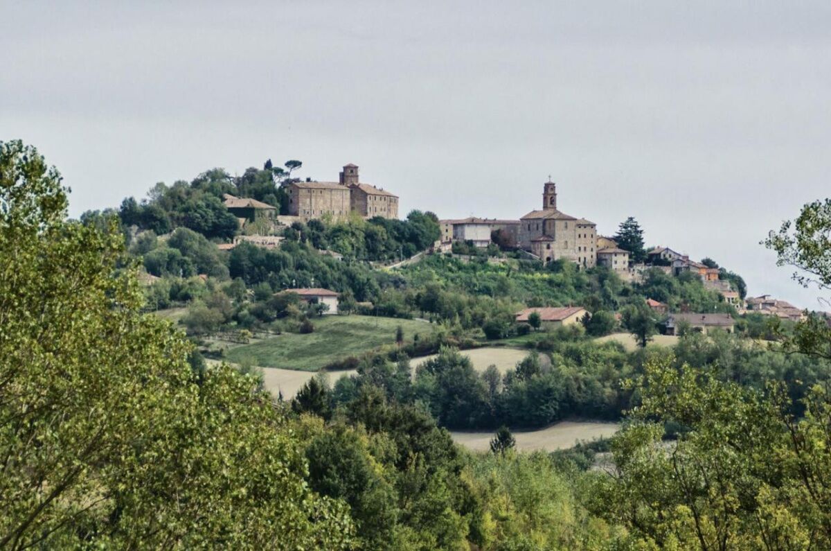 Caccia ai Fossili: Orienteering sulle colline di Cortiglione desktop picture