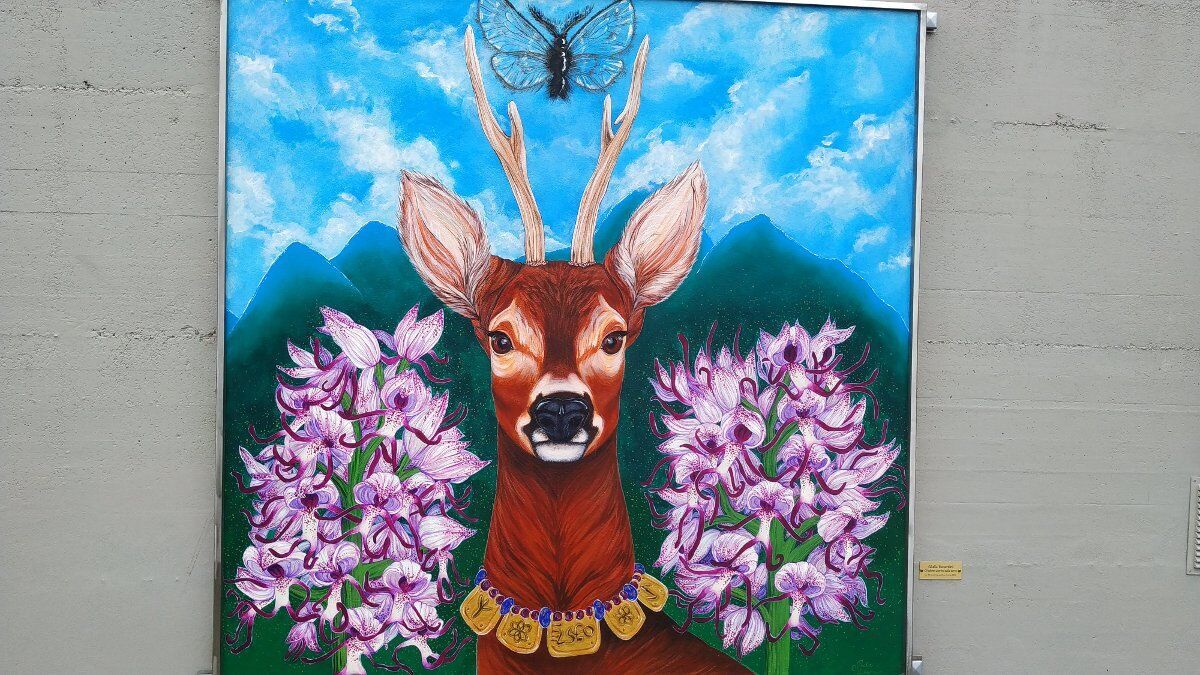 La Foresta, la Torre e i Murales di Lavacchio: alla scoperta di Pavullo nel Frignano La Foresta, la Torre e i Murales di Lavacchio: alla scoperta di Pavullo nel Frignano desktop picture