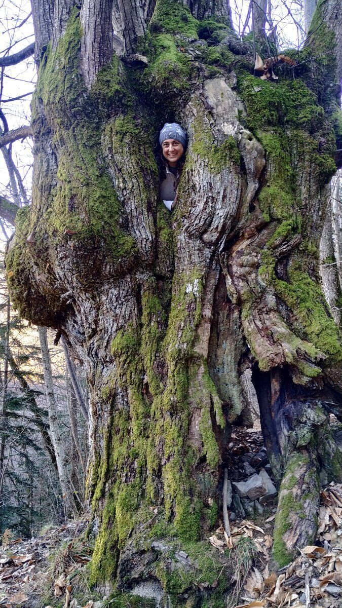 Escursione alle cascate della Pollina e al Birrificio del Cimone Escursione alle cascate della Pollina e al Birrificio del Cimone desktop picture
