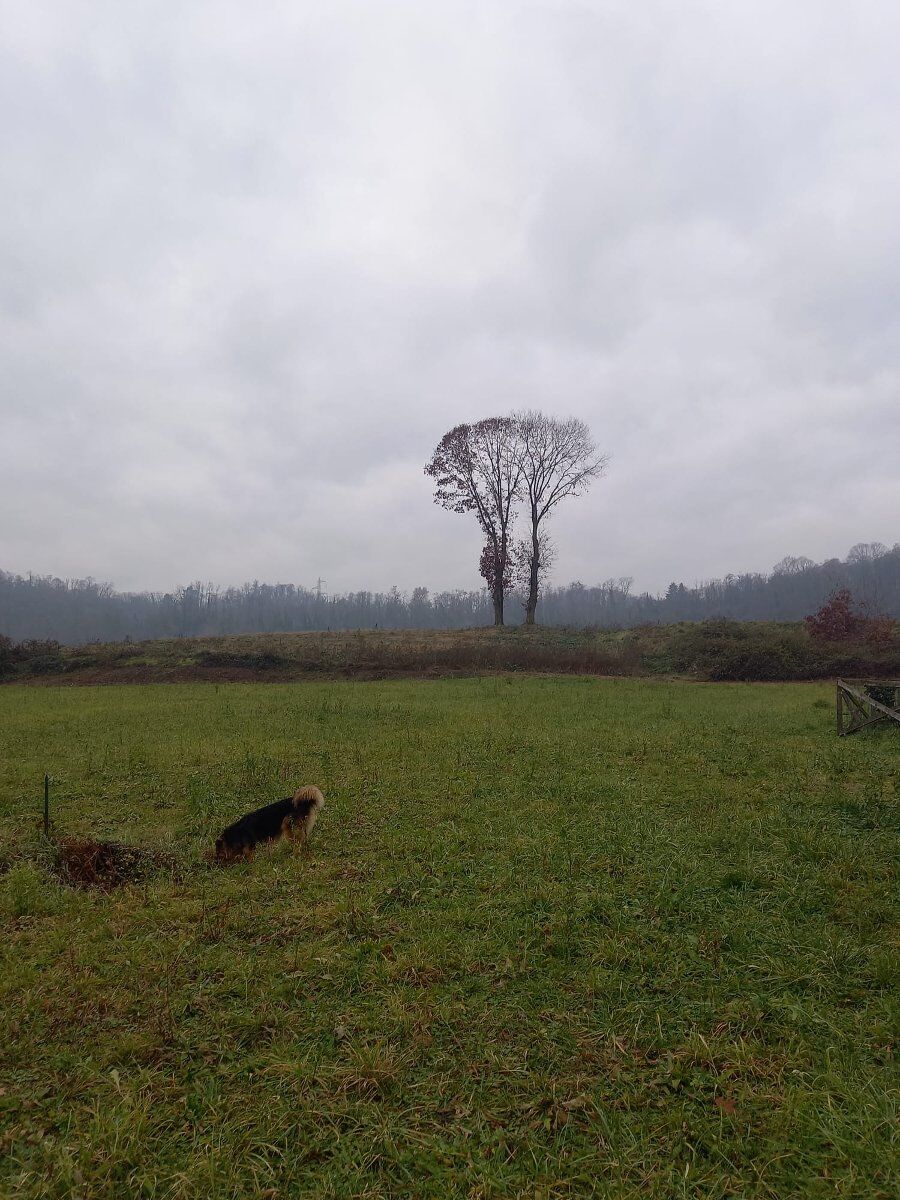 Passeggiata ad Imbersago sull'Adda con Terzo Tempo speciale Passeggiata ad Imbersago sull'Adda con Terzo Tempo speciale desktop picture