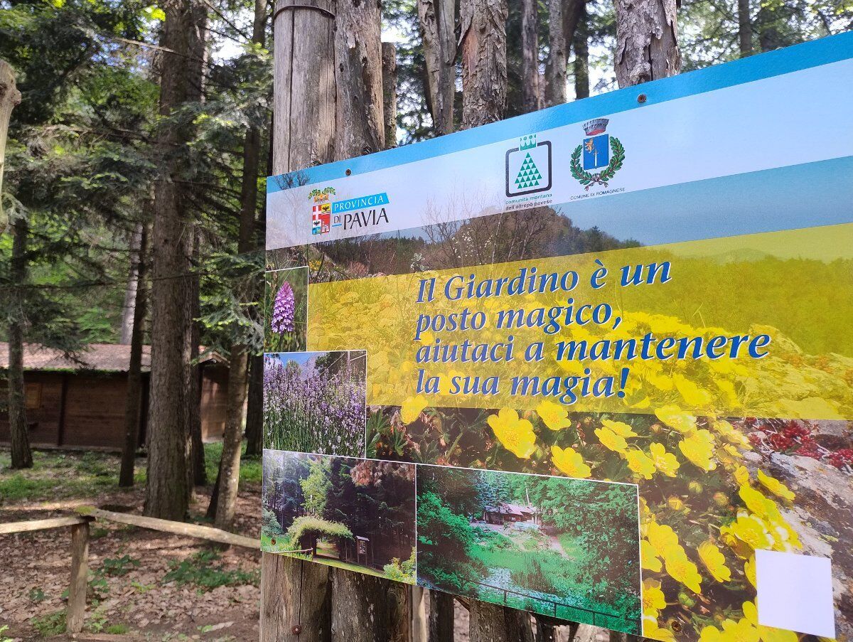 Giornata nel Giardino Botanico Alpino di Romagnese con picnic nel bosco Giornata nel Giardino Botanico Alpino di Romagnese con picnic nel bosco desktop picture