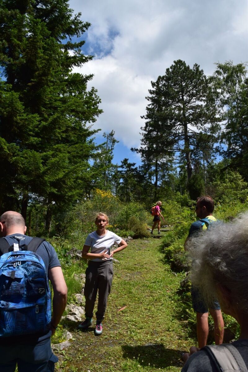 Giornata nel Giardino Botanico Alpino di Romagnese con picnic nel bosco Giornata nel Giardino Botanico Alpino di Romagnese con picnic nel bosco desktop picture