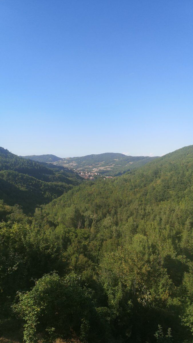 Giornata nel Giardino Botanico Alpino di Romagnese con picnic nel bosco Giornata nel Giardino Botanico Alpino di Romagnese con picnic nel bosco desktop picture