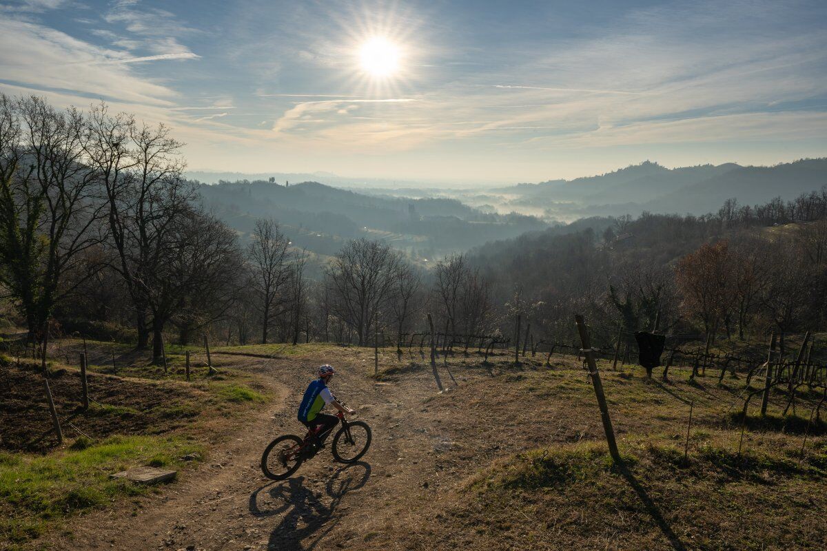 Esperienza in E-BIKE tra i vigneti della Brianza con degustazione Esperienza in E-BIKE tra i vigneti della Brianza con degustazione desktop picture