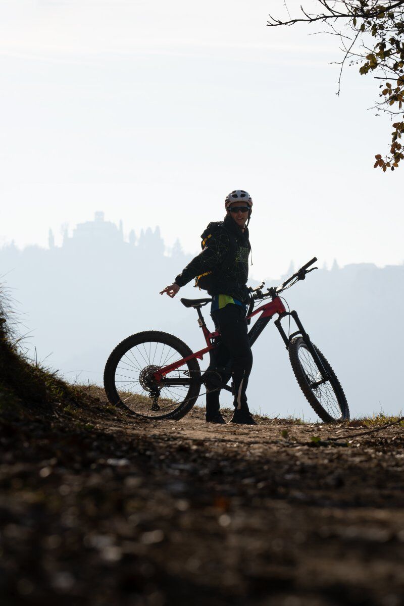 Esperienza in E-BIKE tra i vigneti della Brianza con degustazione Esperienza in E-BIKE tra i vigneti della Brianza con degustazione desktop picture
