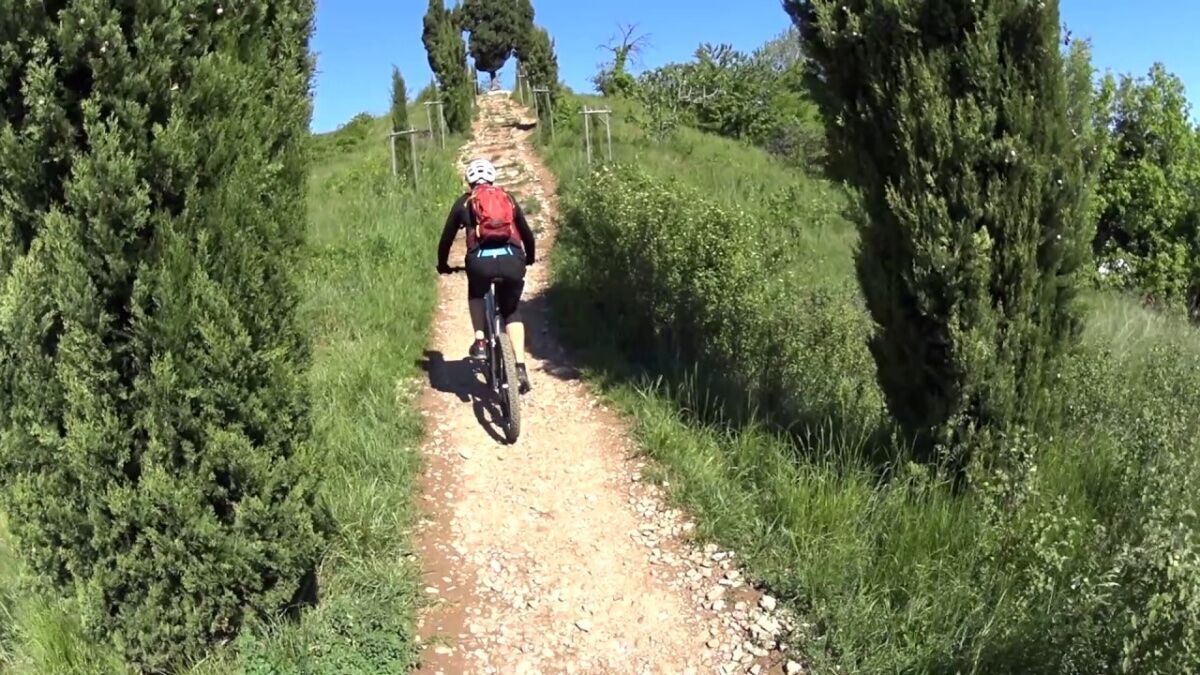 Esperienza in E-BIKE tra i vigneti della Brianza con degustazione Esperienza in E-BIKE tra i vigneti della Brianza con degustazione desktop picture