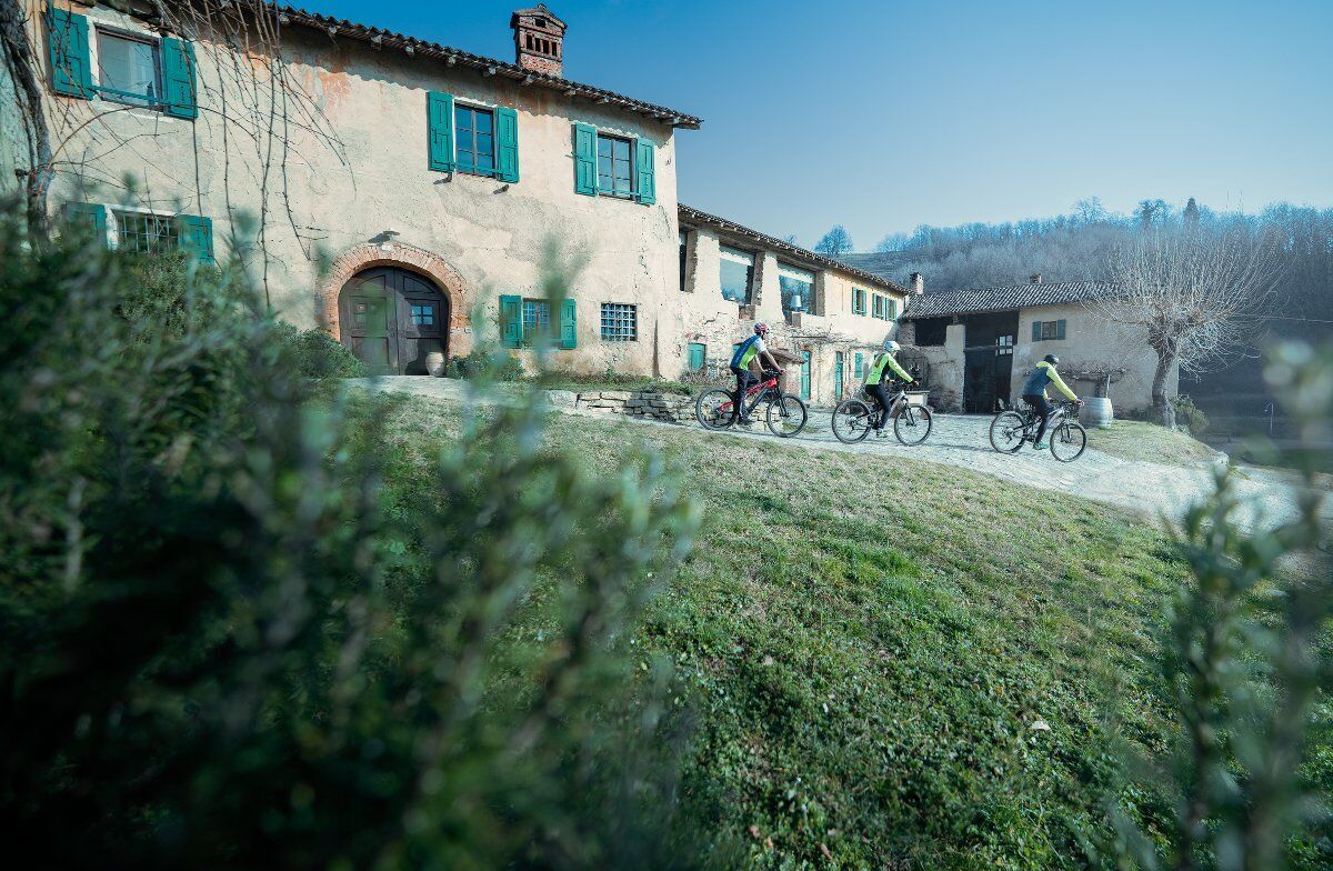 Esperienza in E-BIKE tra i vigneti della Brianza con degustazione Esperienza in E-BIKE tra i vigneti della Brianza con degustazione desktop picture