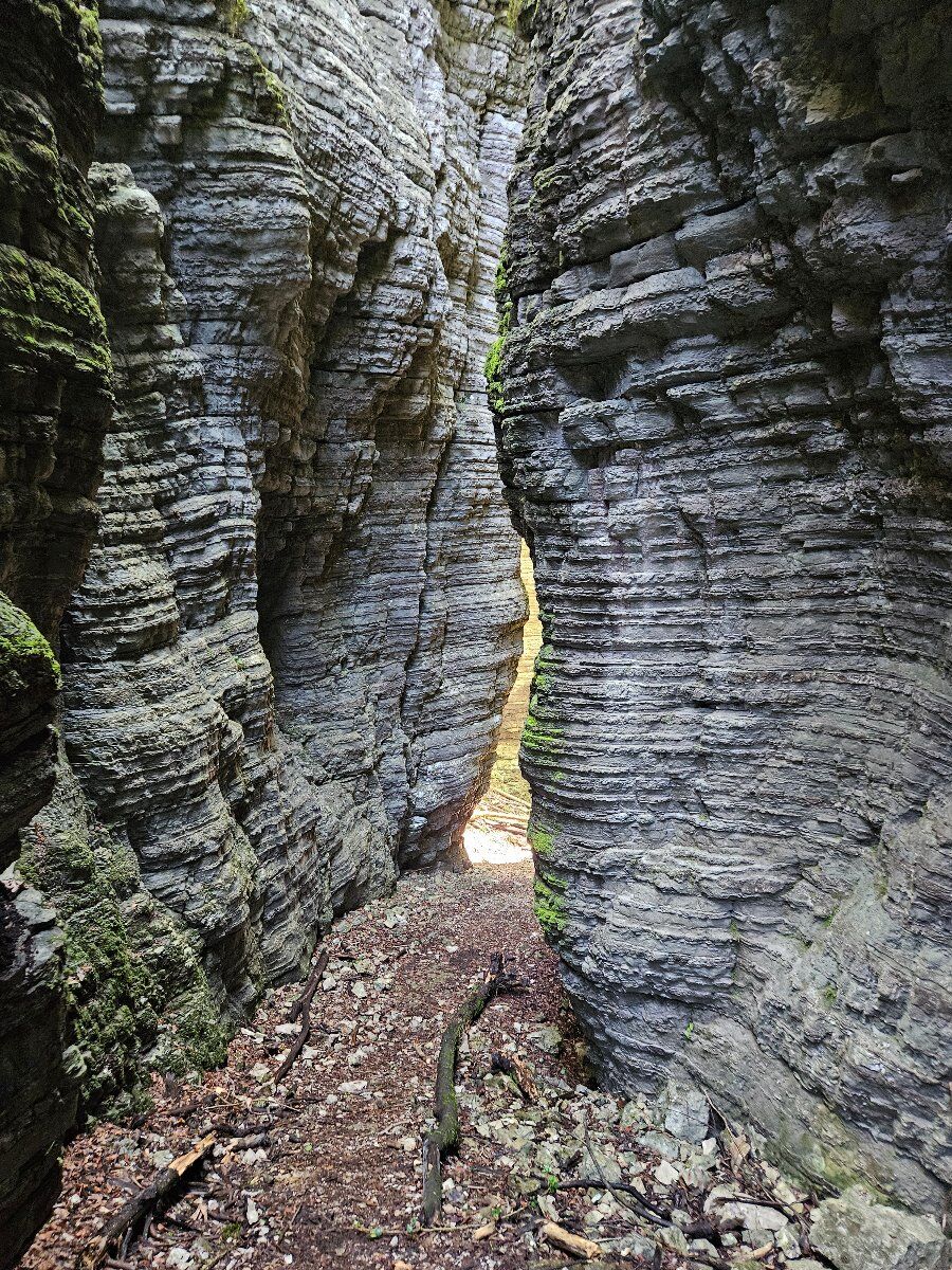 Bus del Buson: escursione in un antico canyon fossile Bus del Buson: escursione in un antico canyon fossile desktop picture