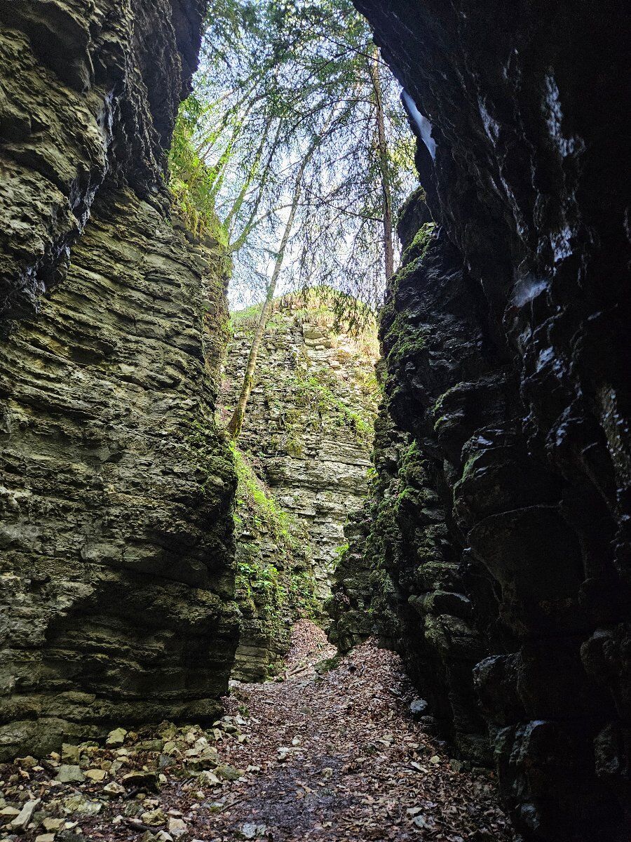 Bus del Buson: escursione in un antico canyon fossile Bus del Buson: escursione in un antico canyon fossile desktop picture
