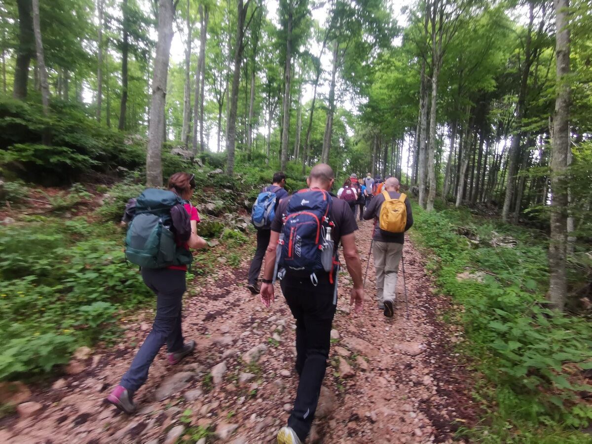 Trekking a Monte Corno e giro al Giardino Botanico Alpino Trekking a Monte Corno e giro al Giardino Botanico Alpino desktop picture