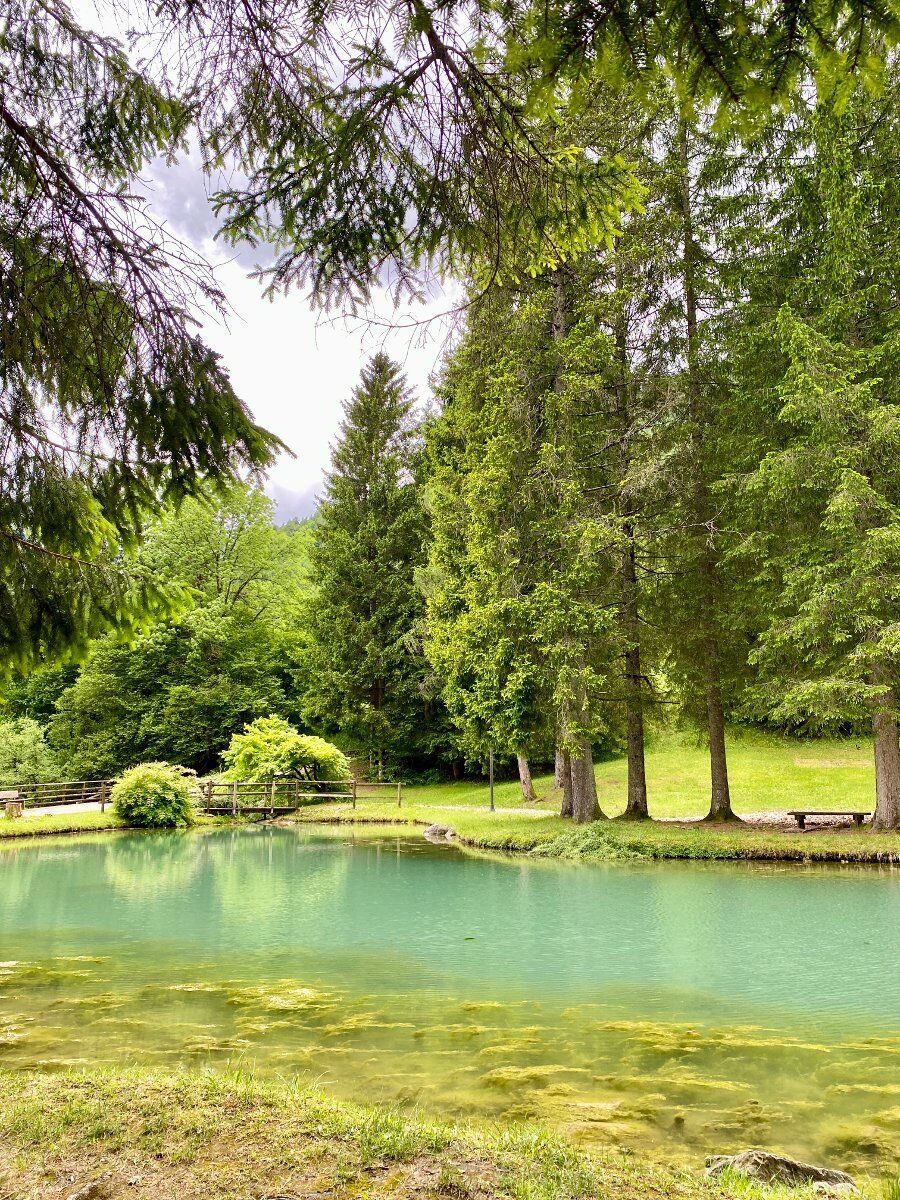 Forni di Sopra: trekking ad anello ai piedi delle Dolomiti Forni di Sopra: trekking ad anello ai piedi delle Dolomiti desktop picture