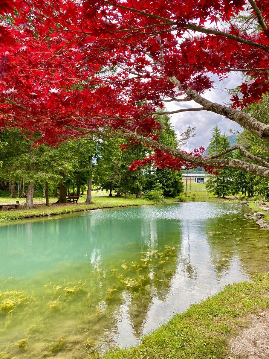 Forni di Sopra: trekking ad anello ai piedi delle Dolomiti Forni di Sopra: trekking ad anello ai piedi delle Dolomiti desktop picture