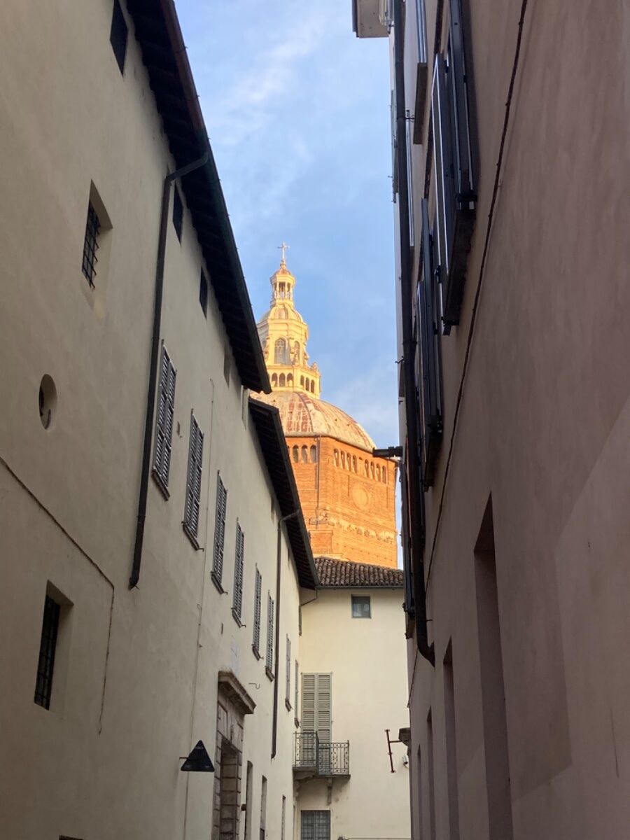 Tour serale: Pavia tra leggenda e storia Tour serale: Pavia tra leggenda e storia desktop picture