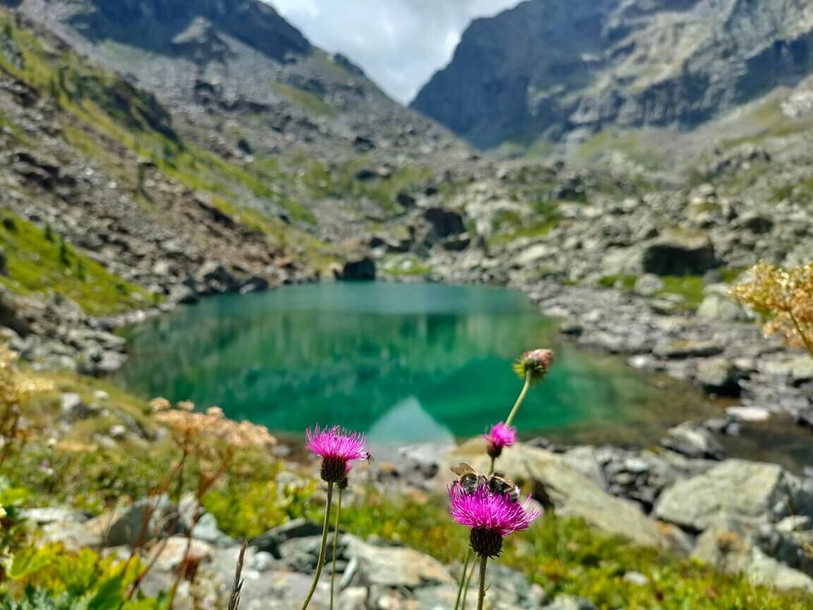 Giro ad anello ai Laghi Verdi e al Lago Paschiet Giro ad anello ai Laghi Verdi e al Lago Paschiet desktop picture