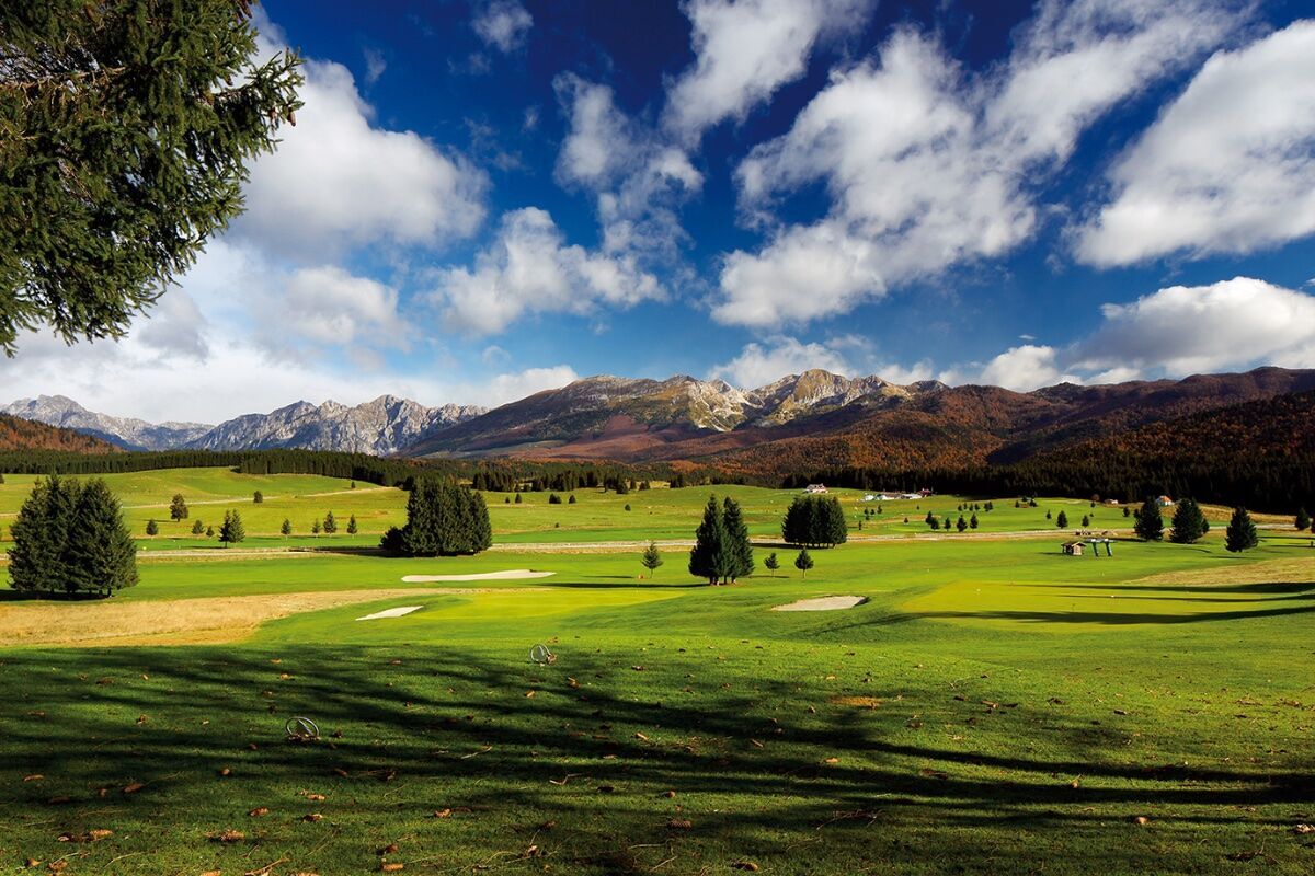 Magico Cansiglio di sera: giardino botanico, trekking e apericena Magico Cansiglio di sera: giardino botanico, trekking e apericena desktop picture