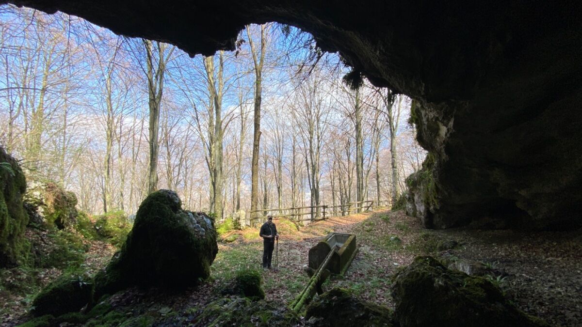 Malga Fara: facile trekking e merenda in malga con prodotti tipici Malga Fara: facile trekking e merenda in malga con prodotti tipici desktop picture