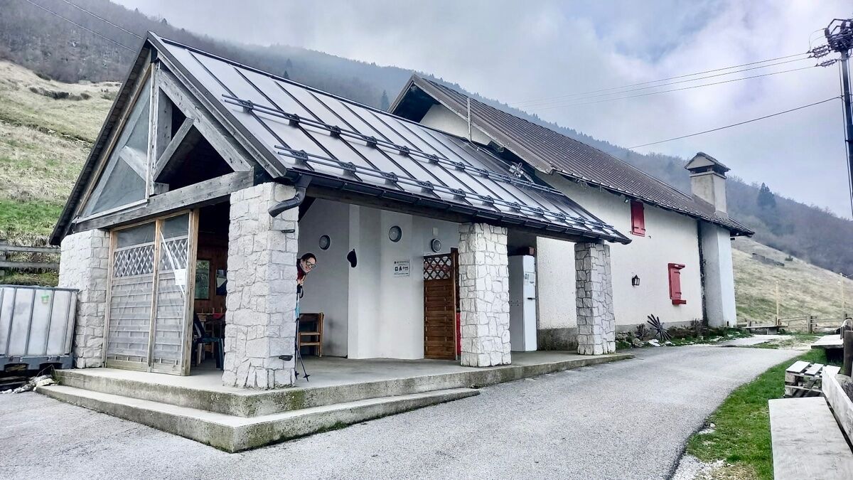 Malga Fara: facile trekking e merenda in malga con prodotti tipici Malga Fara: facile trekking e merenda in malga con prodotti tipici desktop picture