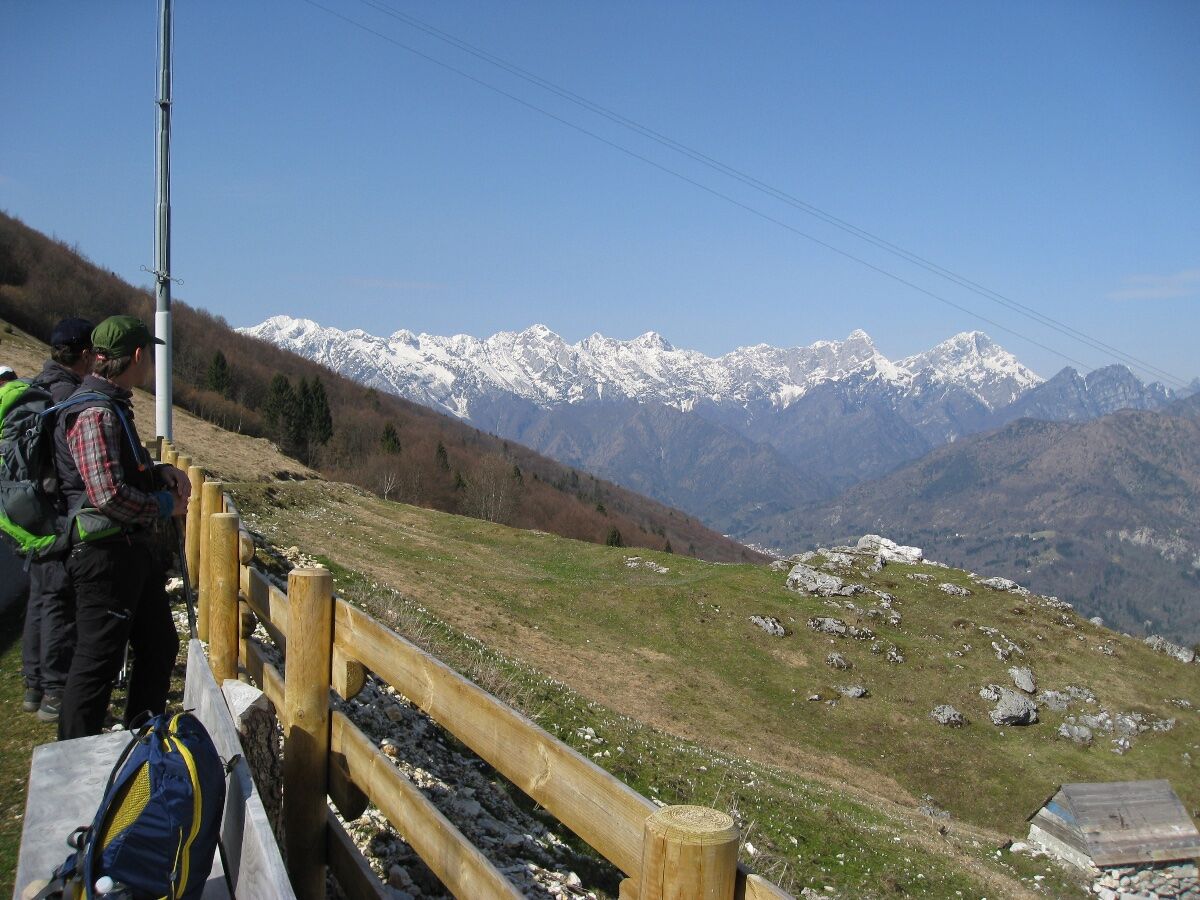 Malga Fara: facile trekking e merenda in malga con prodotti tipici Malga Fara: facile trekking e merenda in malga con prodotti tipici desktop picture