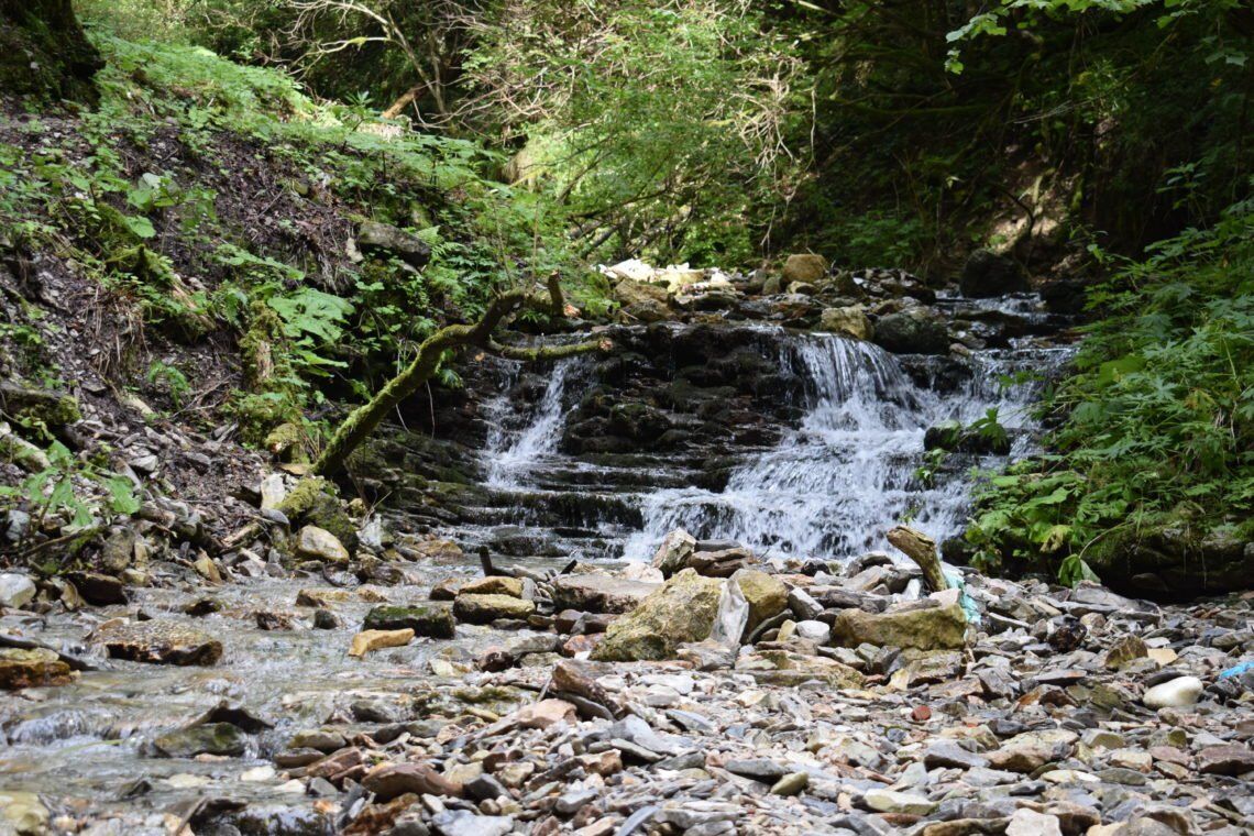 La suggestiva Valle dei Mulini e il Canyon del Buso con tappa in malga La suggestiva Valle dei Mulini e il Canyon del Buso con tappa in malga desktop picture