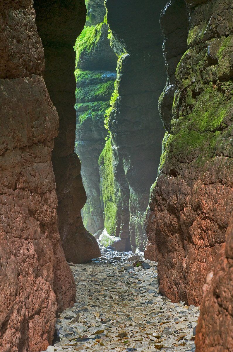 La suggestiva Valle dei Mulini e il Canyon del Buso con tappa in malga La suggestiva Valle dei Mulini e il Canyon del Buso con tappa in malga desktop picture