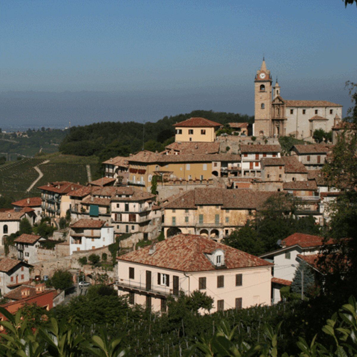 Percorso Pellizziano Volpedo: Trekking tra Arte, Natura e Storia Percorso Pellizziano Volpedo: Trekking tra Arte, Natura e Storia desktop picture