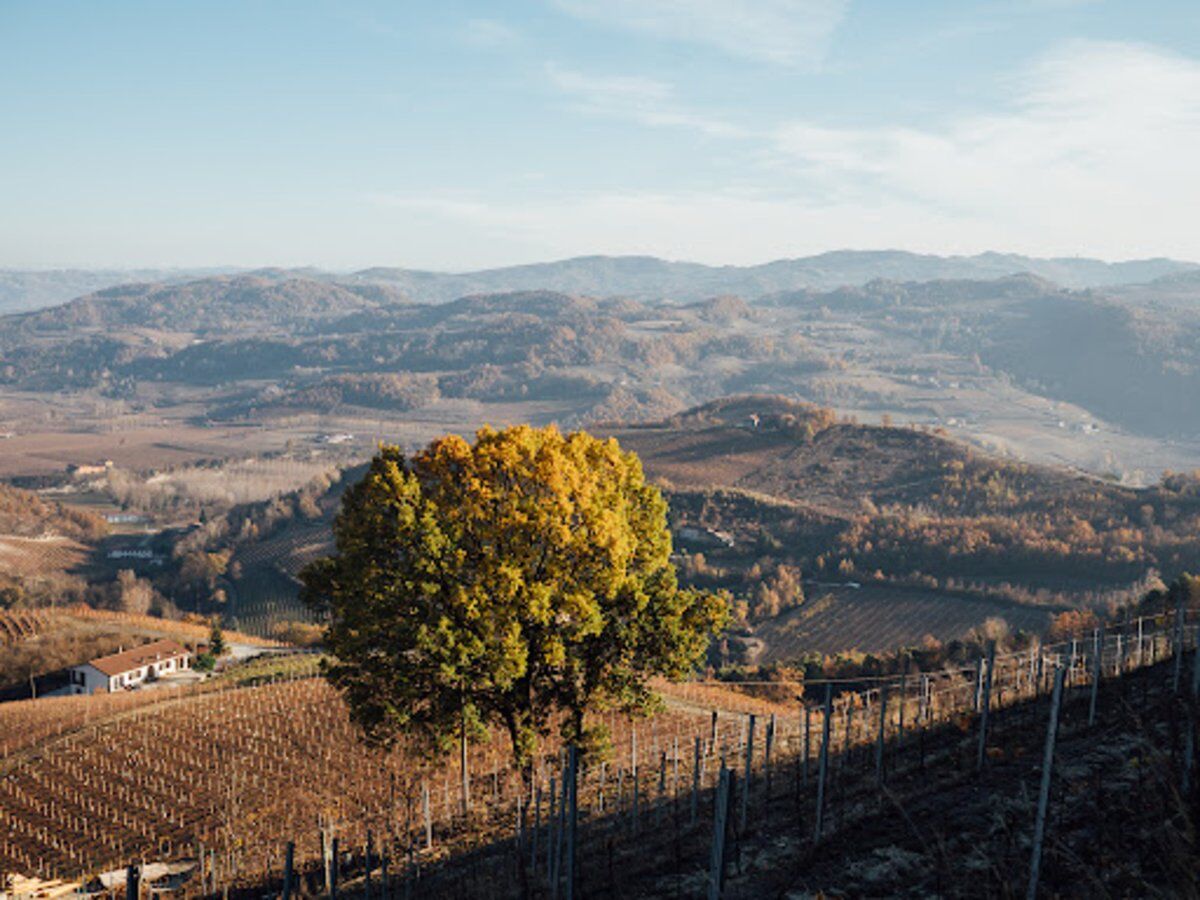 Percorso Pellizziano Volpedo: Trekking tra Arte, Natura e Storia Percorso Pellizziano Volpedo: Trekking tra Arte, Natura e Storia desktop picture