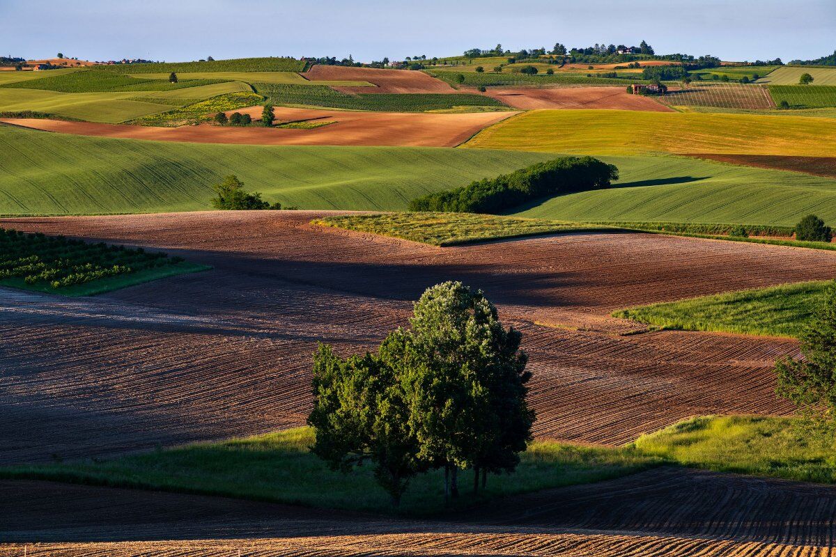 Cammini del Romanico: Terza Tappa tra sacro e natura a Brusasco Cammini del Romanico: Terza Tappa tra sacro e natura a Brusasco desktop picture
