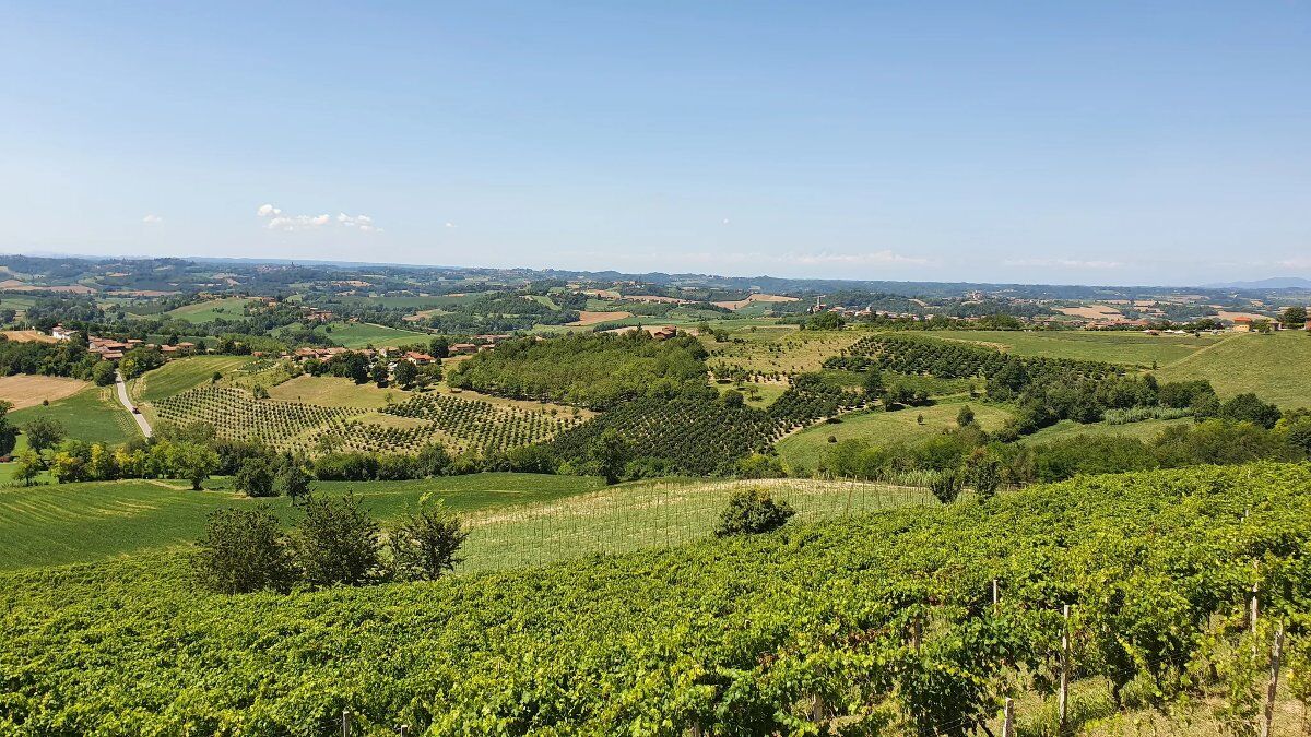 Camminata del Tartufo: Natura e Gusto nel Monferrato Camminata del Tartufo: Natura e Gusto nel Monferrato desktop picture