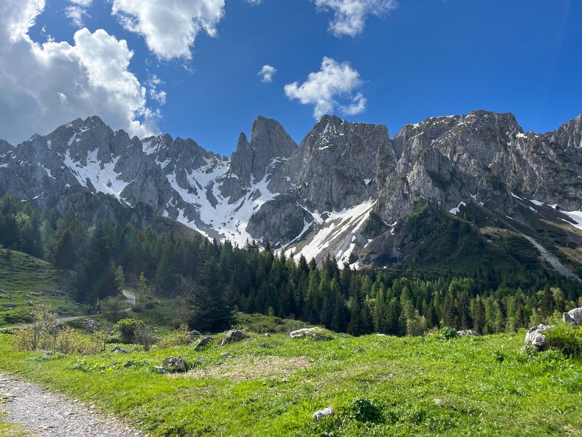 Escursione Conca dei Campelli: Natura e Cime Dolomitiche Escursione Conca dei Campelli: Natura e Cime Dolomitiche desktop picture