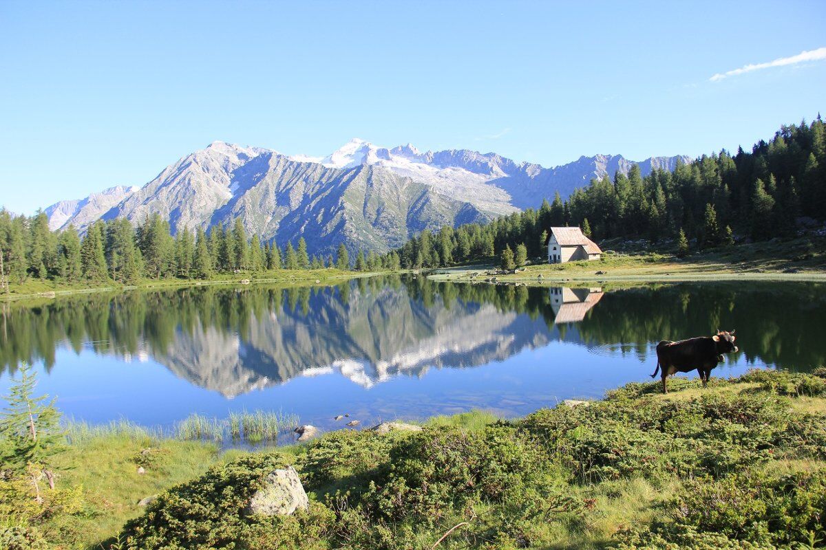 Avventura Alpina: Giro ad Anello ai Laghi di San Giuliano Avventura Alpina: Giro ad Anello ai Laghi di San Giuliano desktop picture