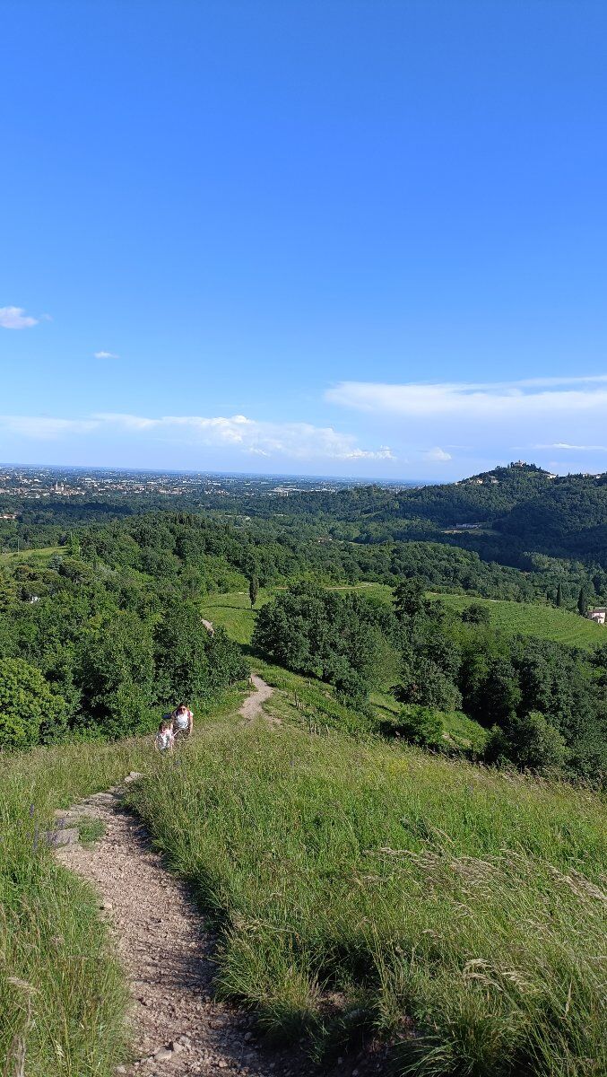 Passeggiata sensoriale nell'incantevole Parco del Curone Passeggiata sensoriale nell'incantevole Parco del Curone desktop picture