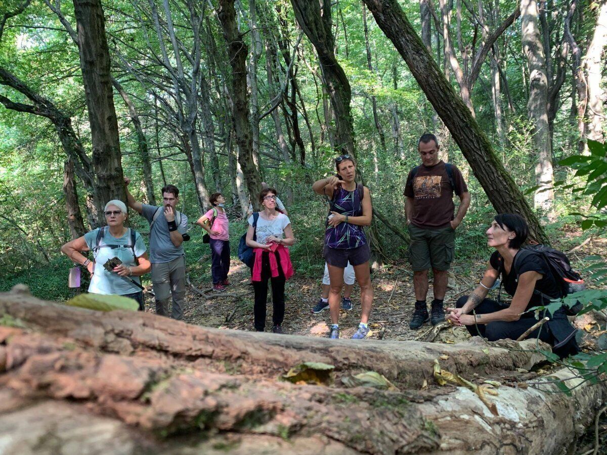 Passeggiata sensoriale nell'incantevole Parco del Curone Passeggiata sensoriale nell'incantevole Parco del Curone desktop picture