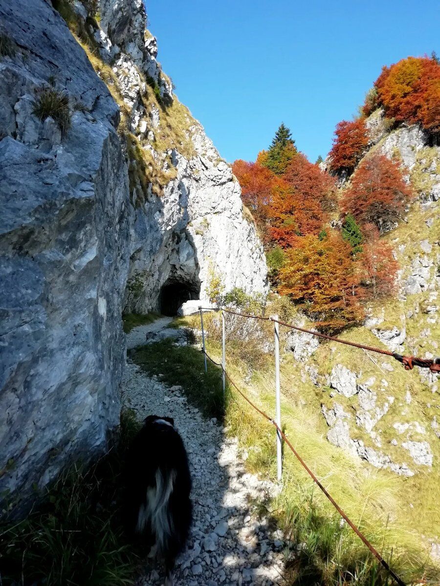 Escursione alle Meatte: Avventura Storica sul Monte Grappa Escursione alle Meatte: Avventura Storica sul Monte Grappa desktop picture
