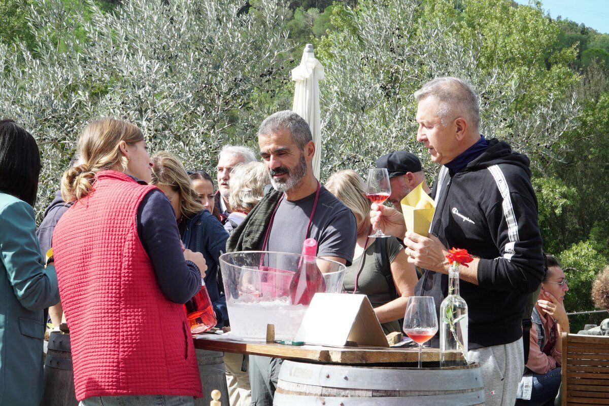 Prevendita | WOW - Wine & Oil Walk: camminata tra Vino e Olio Prevendita | WOW - Wine & Oil Walk: camminata tra Vino e Olio desktop picture