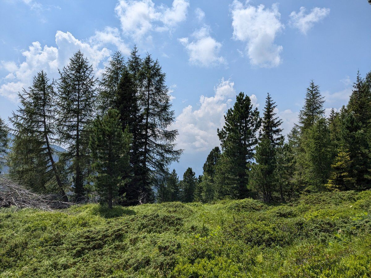 Nel cuore dei Lagorai: Valle dell'Inferno e Buse Todesche Nel cuore dei Lagorai: Valle dell'Inferno e Buse Todesche desktop picture
