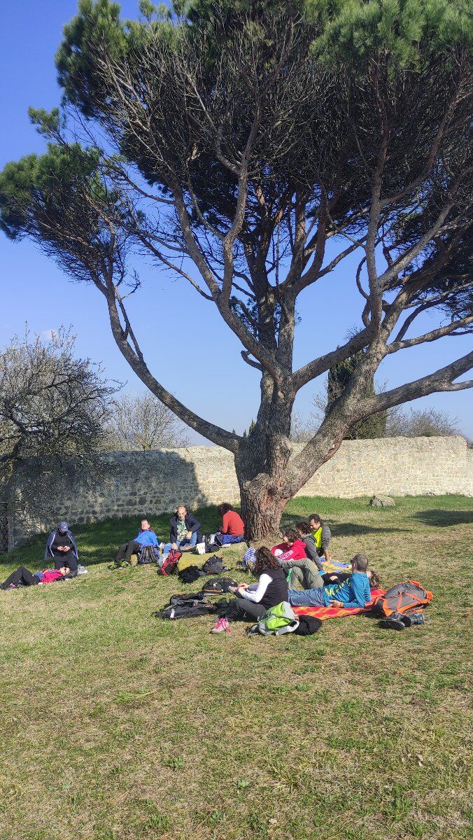 La Molitura delle Olive: degustazione e trekking euganeo La Molitura delle Olive: degustazione e trekking euganeo desktop picture